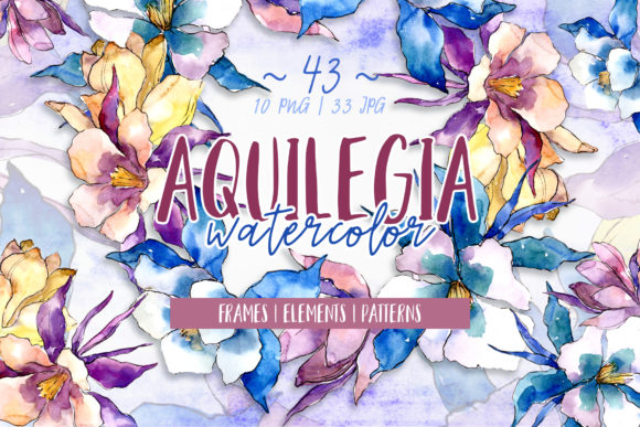 Beautiful Aquilegia PNG Watercolor Set & Illustrations