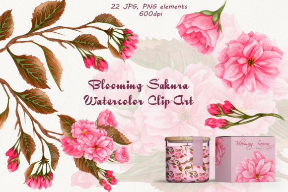 Blooming Sakura Watercolor Clip Art & Illustrations