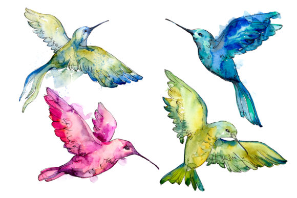 Colibri Small Bird Watercolor Embroidery Review
