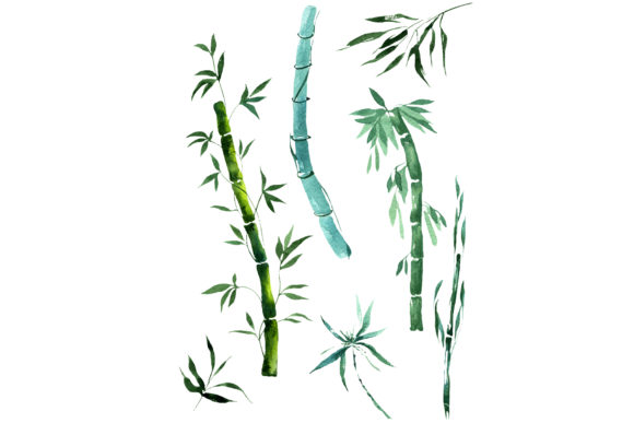 Exotic Bamboo Watercolor Set: A Designer Review