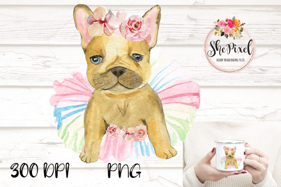 French Bulldog Watercolor Clipart & Illustrations