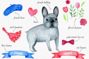 French Bulldog Watercolor Illustrations Review
