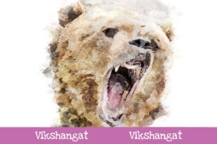 Grizzly Bear Watercolor Art & Illustrations