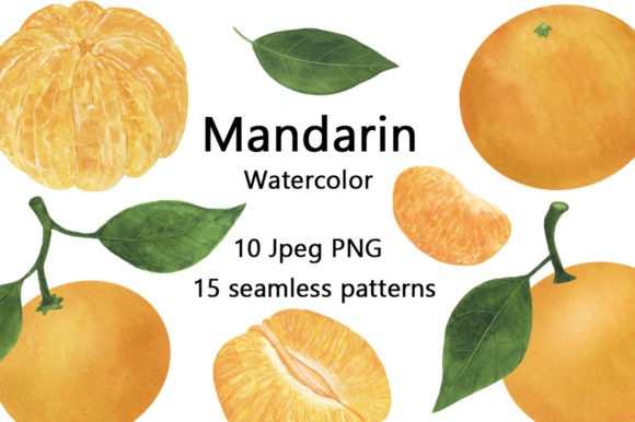 Mandarin Watercolor Food Illustrations Review