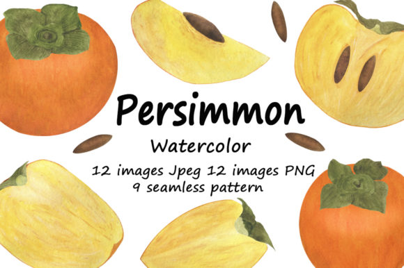 Persimmon Watercolor Illustrations Review