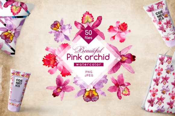 Pink Orchid Watercolor Flower Set & Illustrations