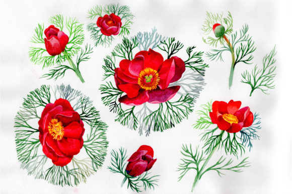 Reviewing Bloom Red Roses Watercolor for Real Embroidery