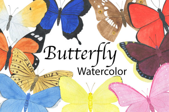 Set Butterfly Watercolor Illustration Review