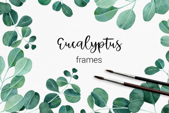 Set of Watercolor Eucalyptus Frames & Illustrations