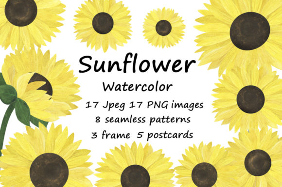 Set of Watercolor Sunflowers Illustrations