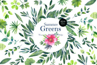 Summer Green Watercolor Clip Art & Illustrations