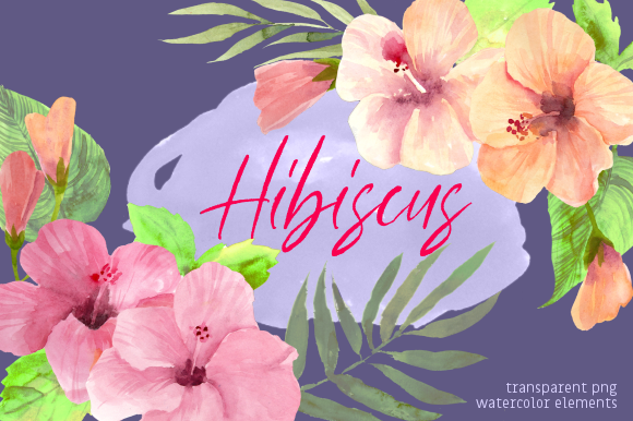 Summer Hibiscus Floral Watercolor Set & Illustrations