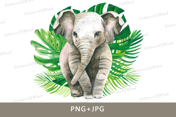 Watercolor Elephant Sublimation Print Review