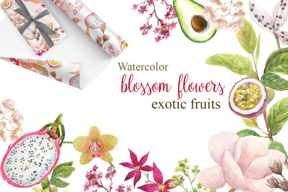 Watercolor Flowers, Exotic Fruits & Illustrations