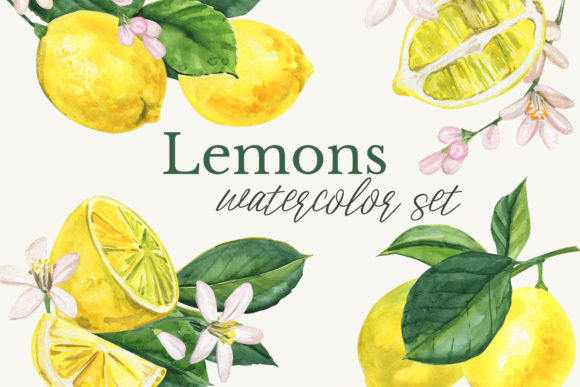 Watercolor Lemon Clipart & Illustrations Review