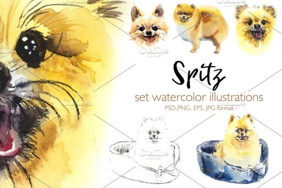Watercolor Spitz-dog: A Designer's Real-World Review