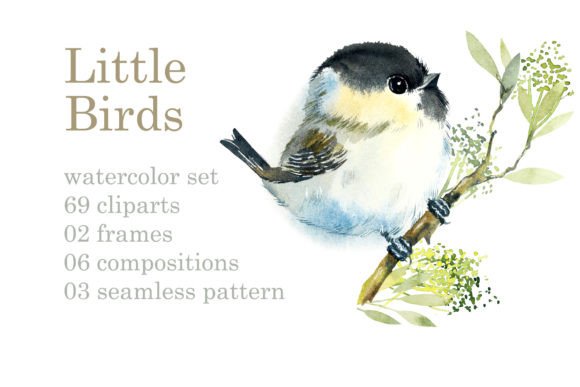 Watercolor Spring Birds Set Illustrations