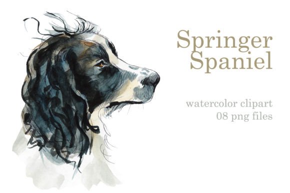 Watercolor Springer Spaniels Illustrations Review