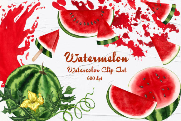 Watermelon Watercolor Clip Art & Illustrations