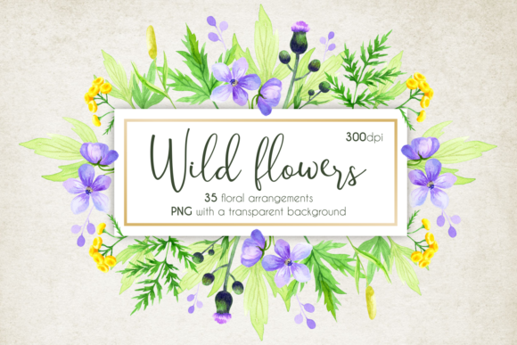 Wild Flowers Frames: Watercolor Illustrations
